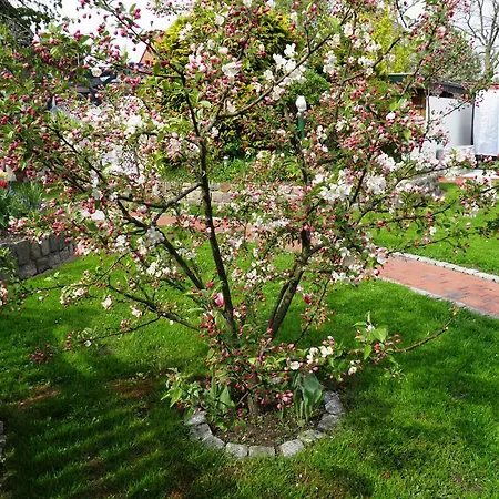 Guest house Gaestehaus Ziemann Friedrichstadt